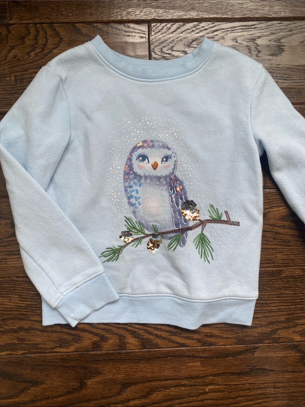 Jumping Beans Light Blue Sequin Owl Sweatshirt